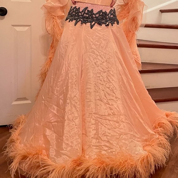 Competition Standard Dress - pre-owned - Picture 10 of 11